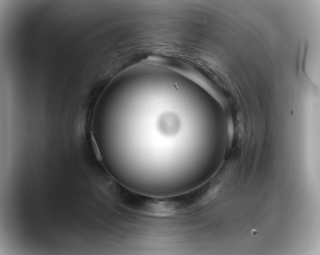 X0000088750221200705311518