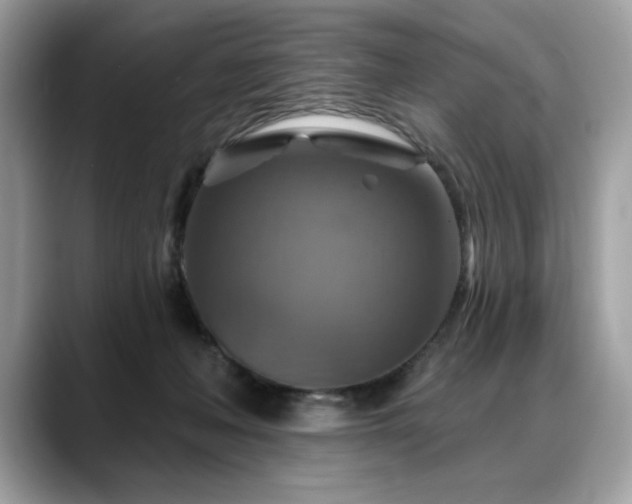X0000088750222200705311518