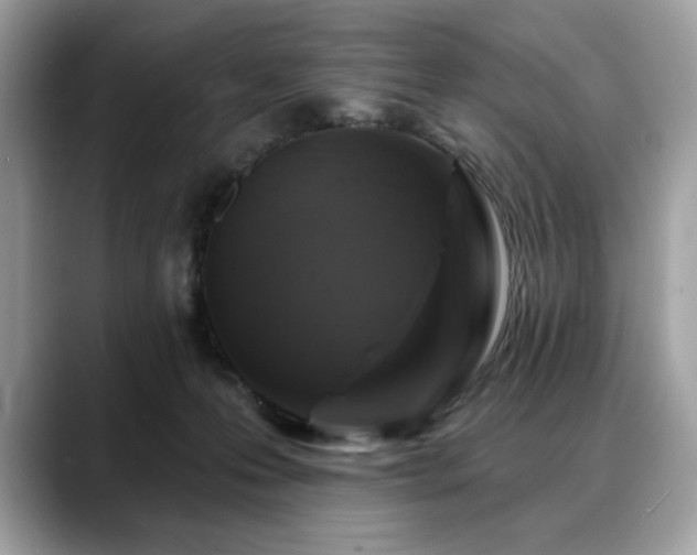 X0000088750223200705311518