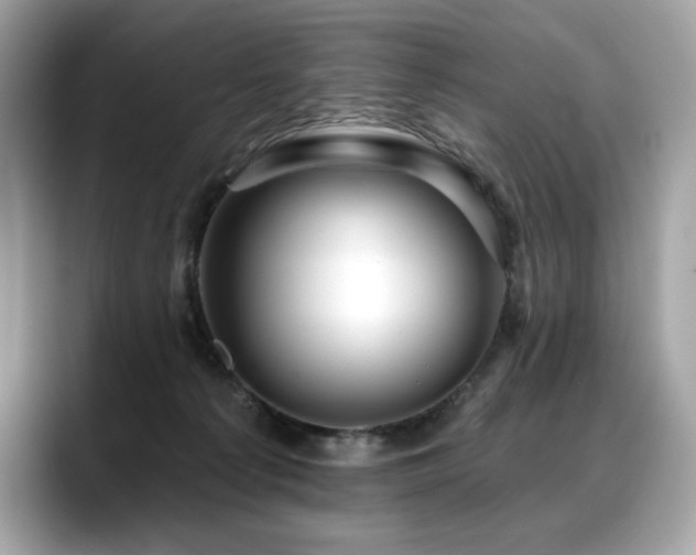 X0000088750225200705311518
