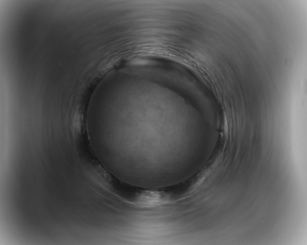 X0000088750227200705311518