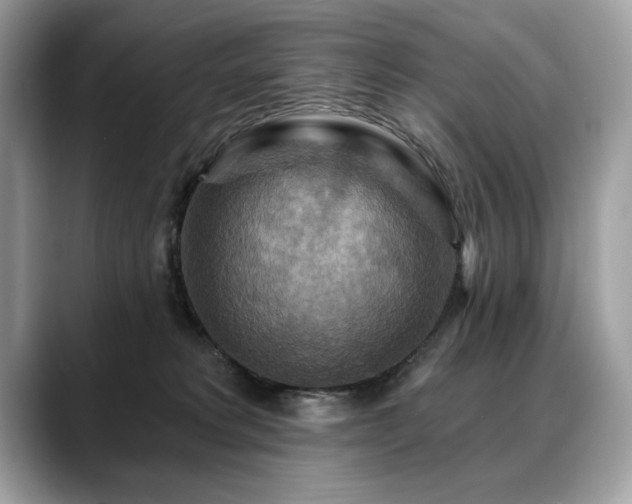X0000088750229200705311518