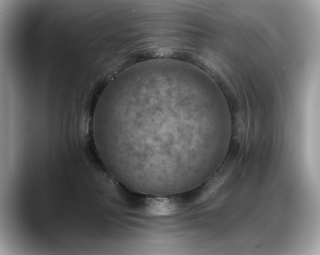 X0000088750230200705311518