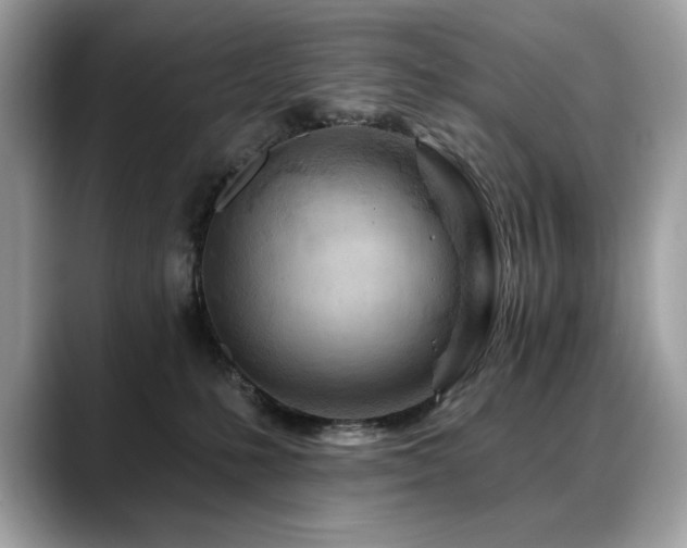 X0000088750231200705311518