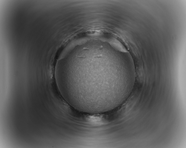X0000088750232200705311518