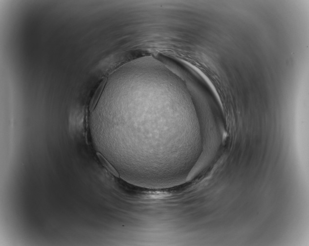 X0000088750233200705311518