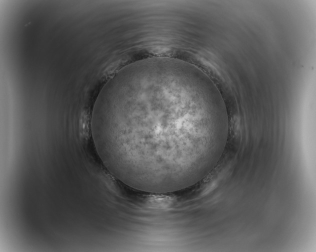 X0000088750234200705311518
