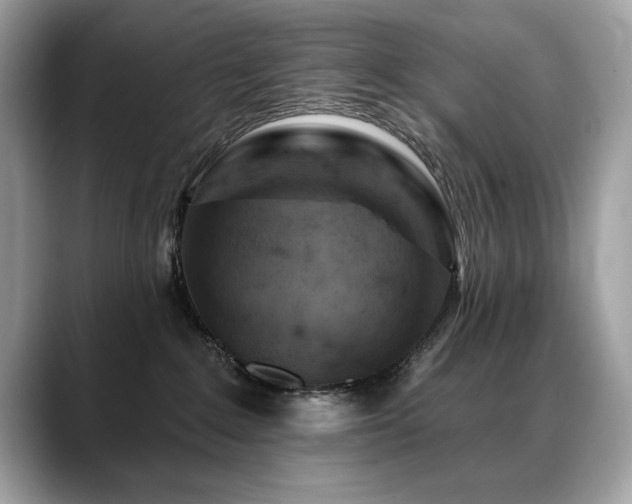 X0000088750235200705311518