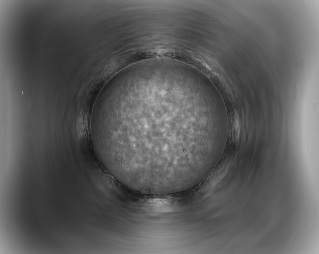 X0000088750236200705311518