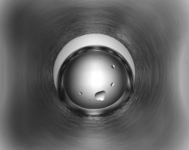 X0000088750237200705311518