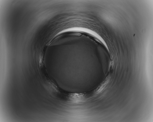 X0000088750239200705311518