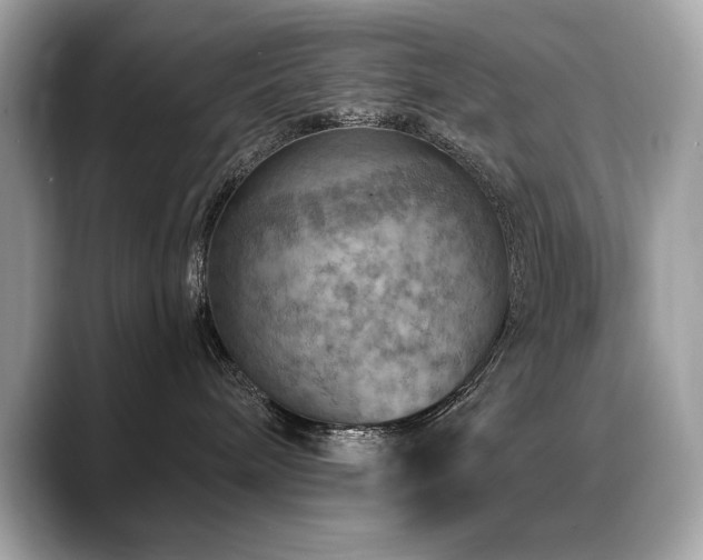 X0000088750240200705311518