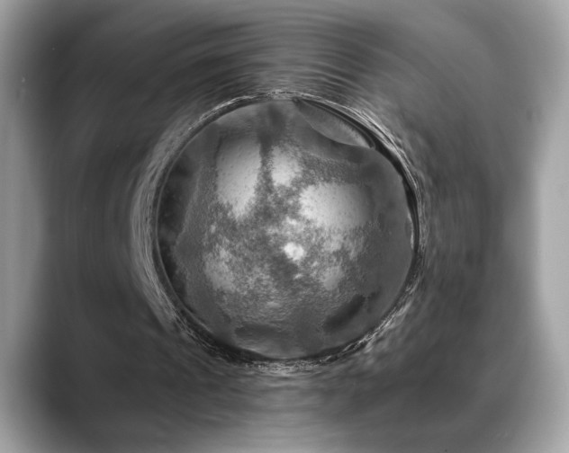 X0000088750241200705311517