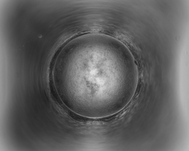 X0000088750242200705311517