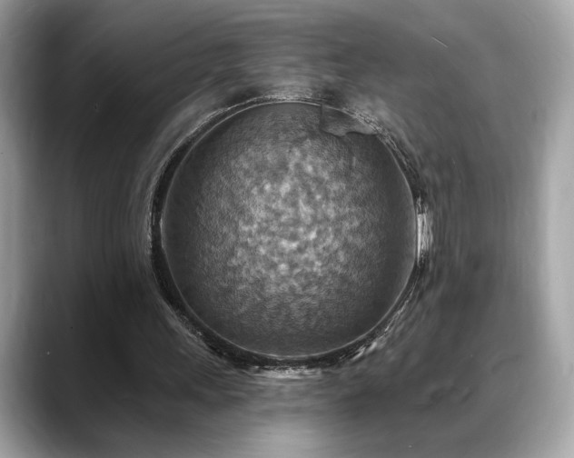 X0000088750243200705311517