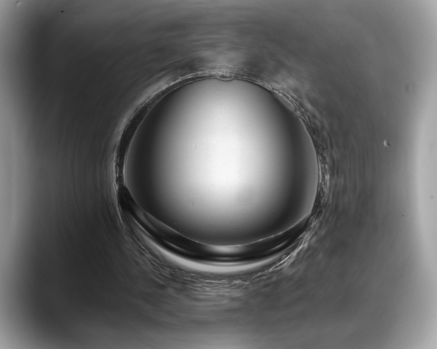 X0000088750244200705311517
