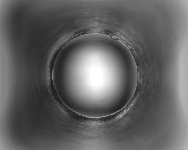 X0000088750245200705311517