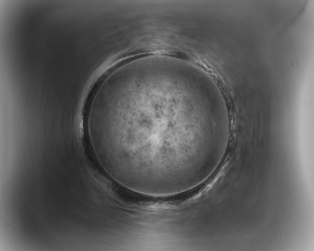 X0000088750246200705311517