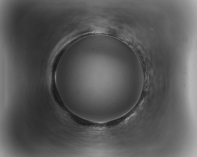 X0000088750247200705311517