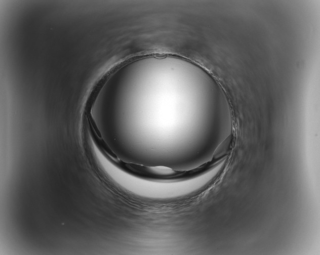 X0000088750248200705311517