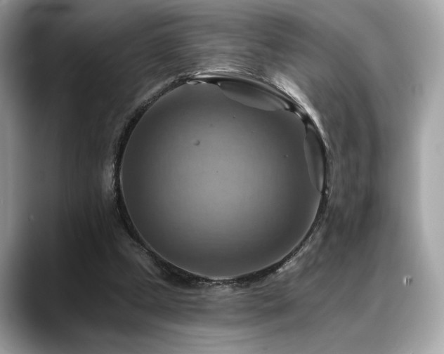 X0000088750249200705311517