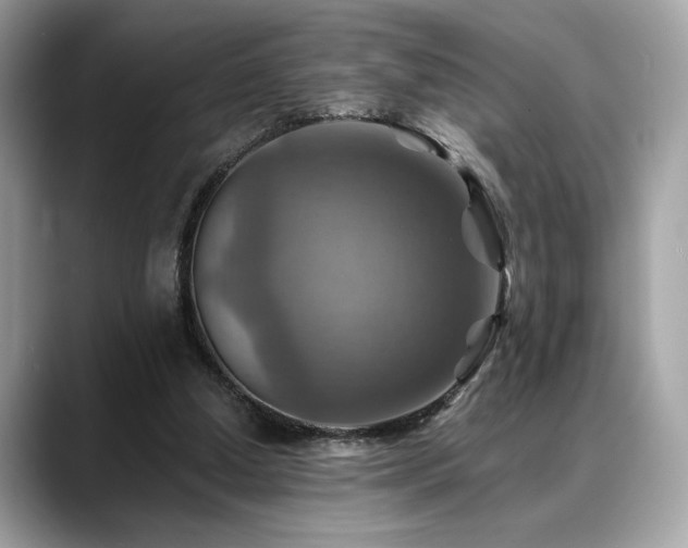 X0000088750250200705311517