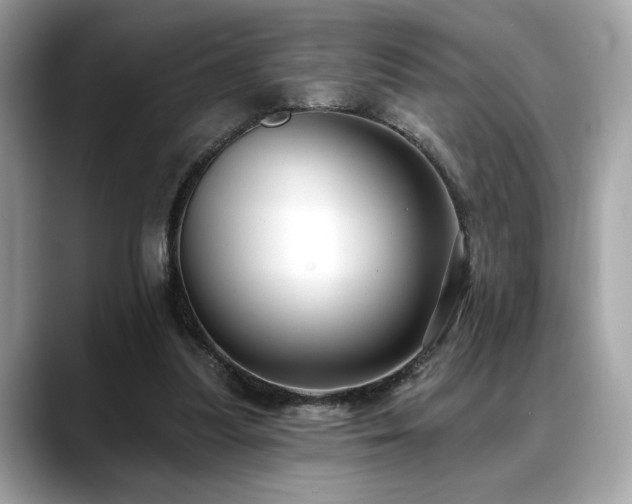 X0000088750251200705311517
