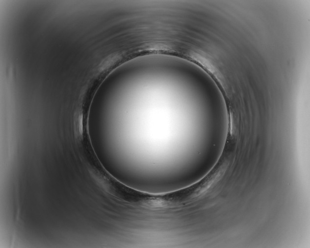 X0000088750253200705311517