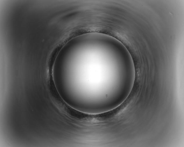 X0000088750254200705311517