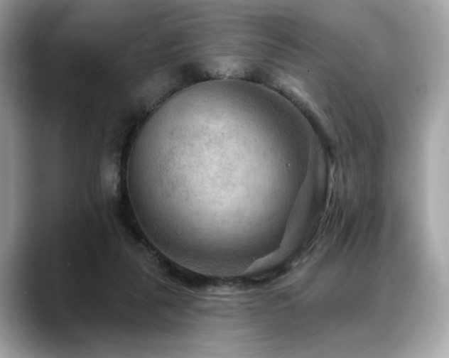 X0000088750259200705311517