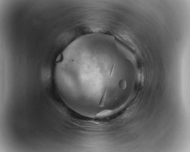 X0000088750260200705311517