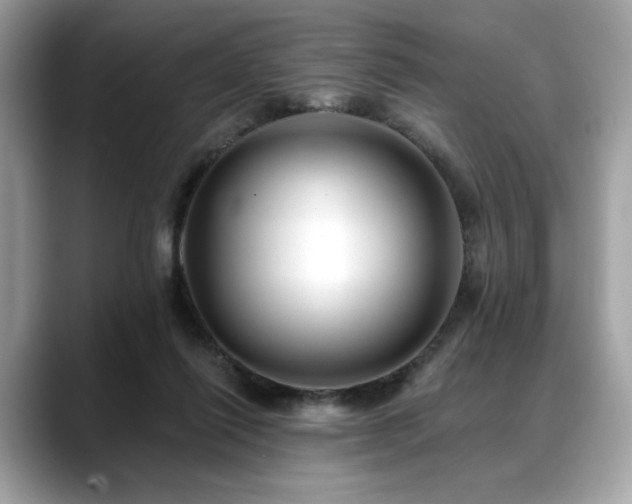 X0000088750262200705311517