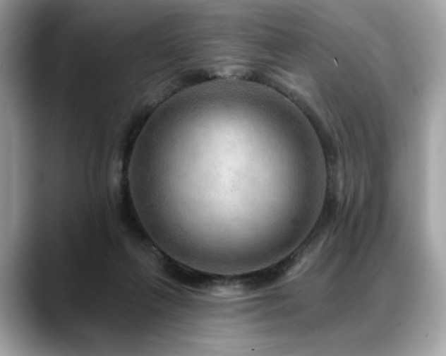 X0000088750263200705311517