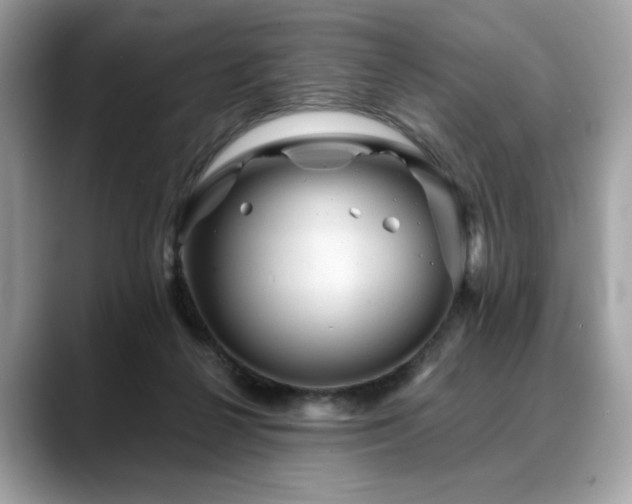 X0000088750264200705311517