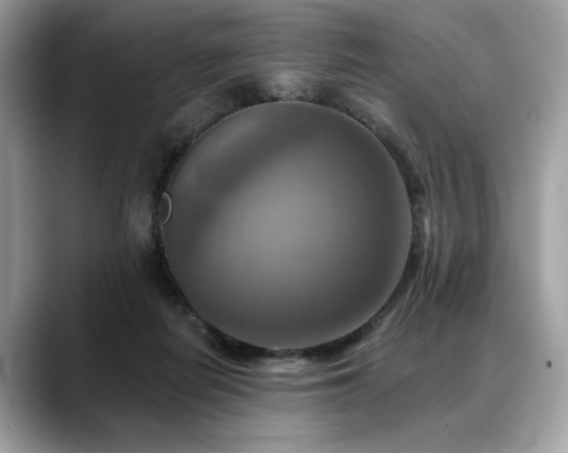 X0000088750266200705311517