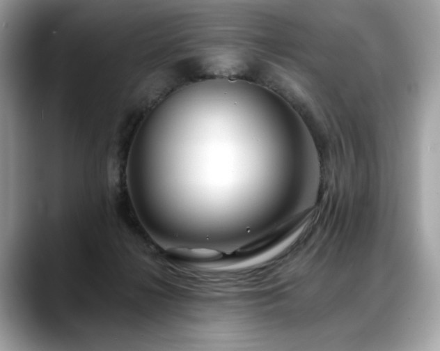 X0000088750268200705311517