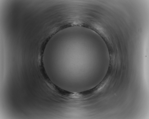 X0000088750269200705311517