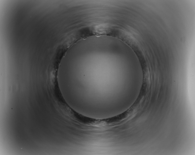 X0000088750271200705311517