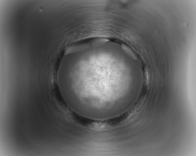 X0000088750272200705311517