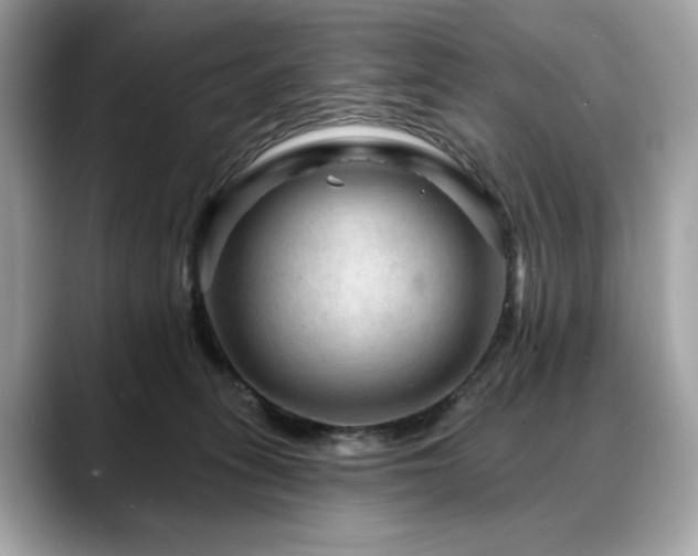 X0000088750275200705311517