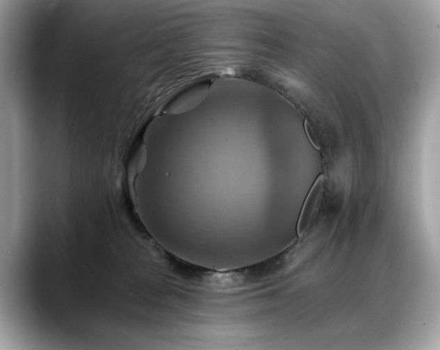 X0000088750277200705311517