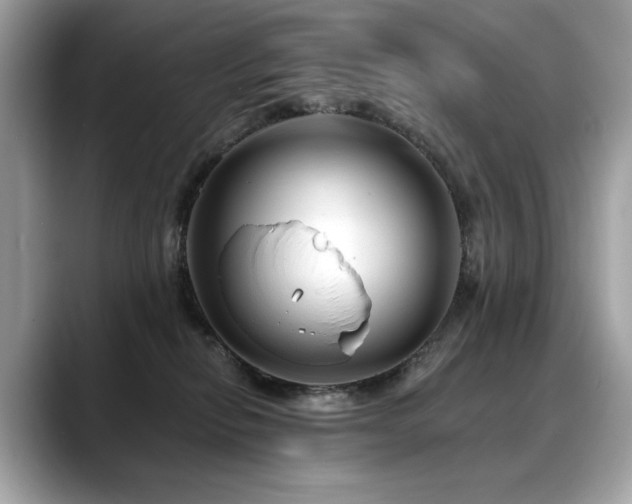 X0000088750278200705311517
