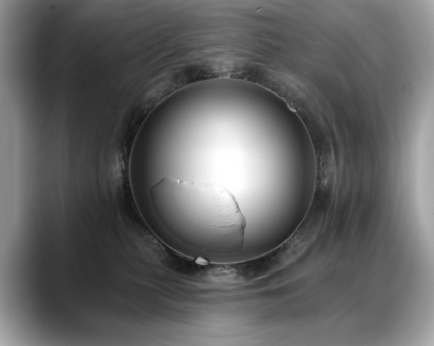 X0000088750279200705311517