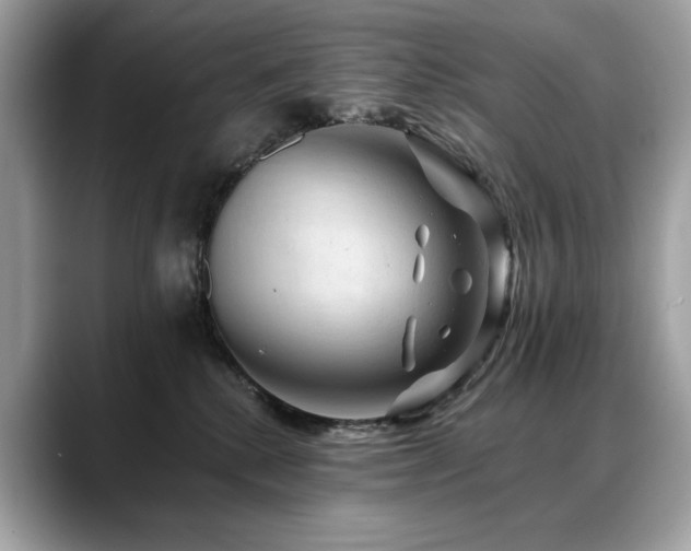 X0000088750280200705311517