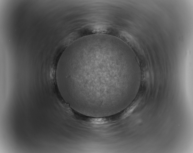 X0000088750281200705311517
