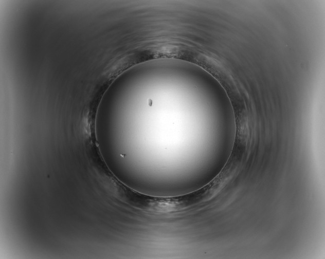 X0000088750282200705311517