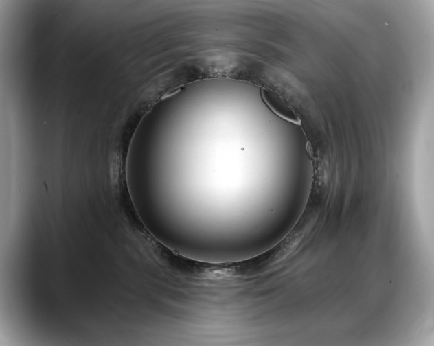 X0000088750283200705311517