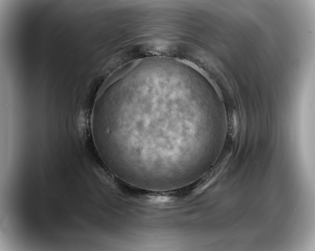 X0000088750284200705311517