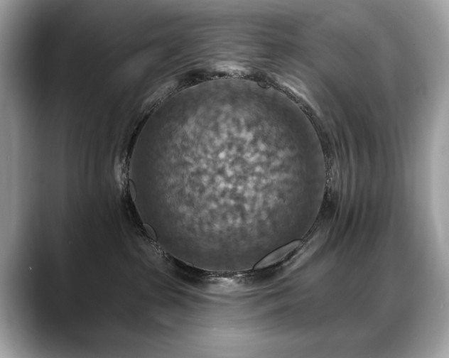 X0000088750285200705311517