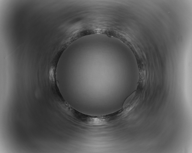 X0000088750286200705311518